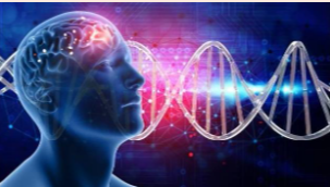 Does Consciousness Arise from Matter? Do Neurons in the Brain Give Rise to Consciousness? (Part 4 of 4)